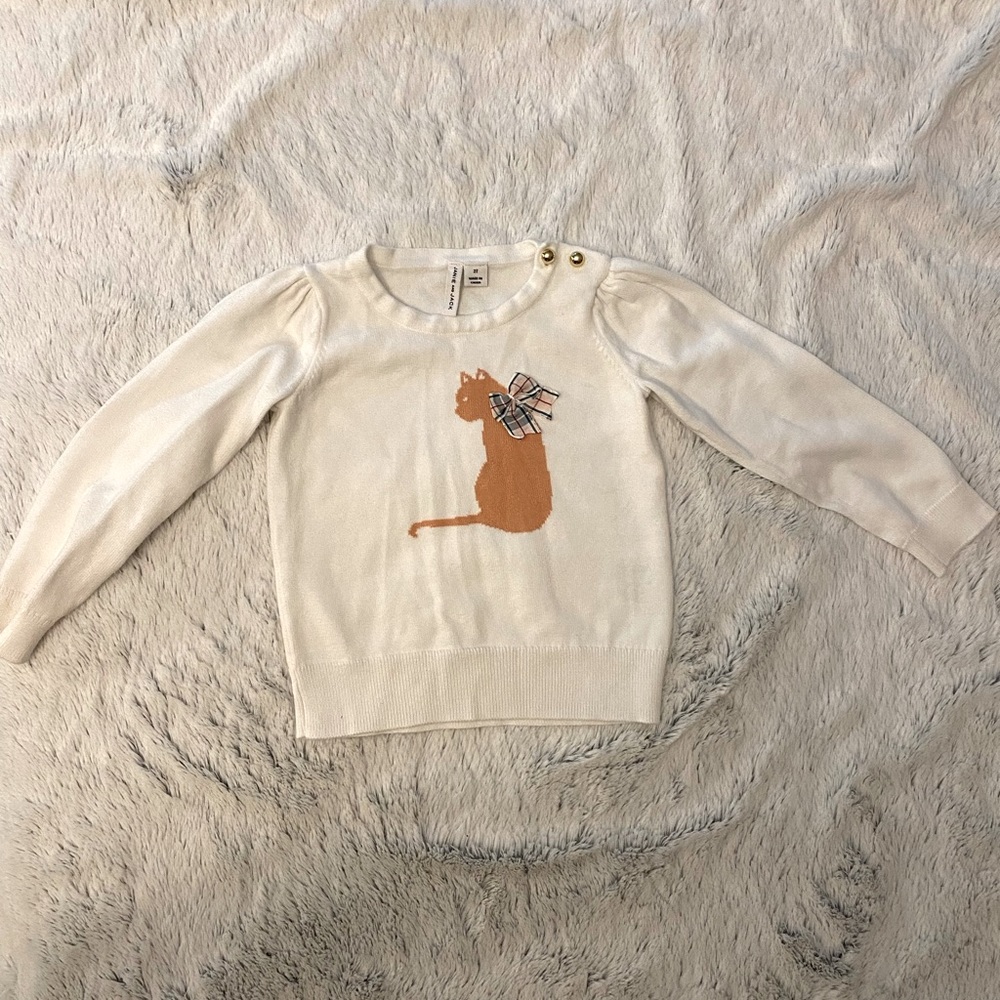 2T Janie and Jack cat sweater